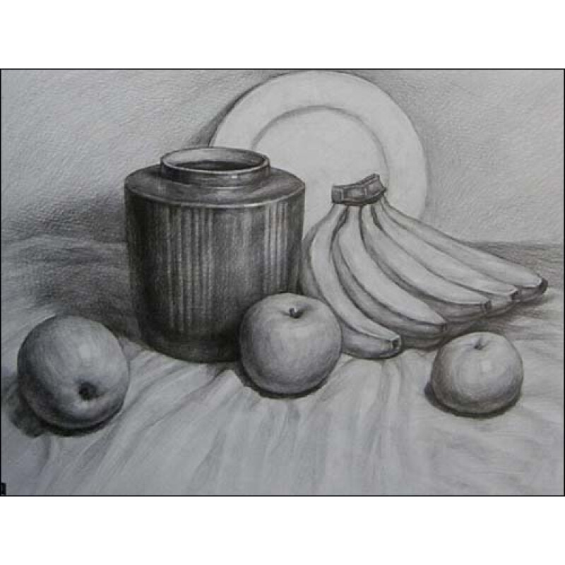 郑培华素描静物临摹范本