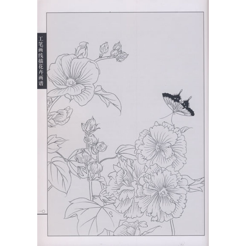 工笔画线描花卉画谱:蜀葵篇