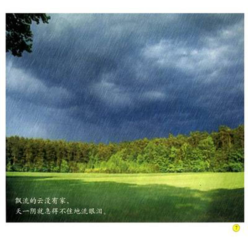 长满画的树(小朋友的书大班下早期阅读)\/幼儿园