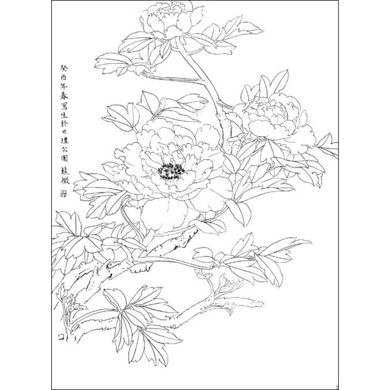 白描花卉:牡丹(1)9787102037219人民美术张桂徵
