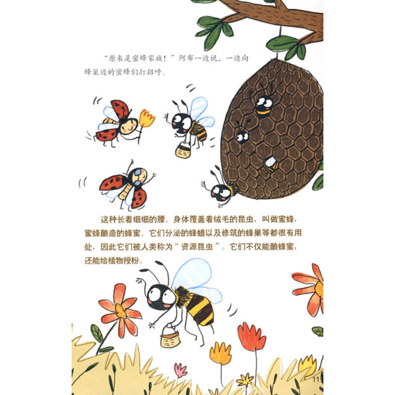 (京东商城) 美绘科学馆·瓢虫历险记:各种各样的昆虫报价