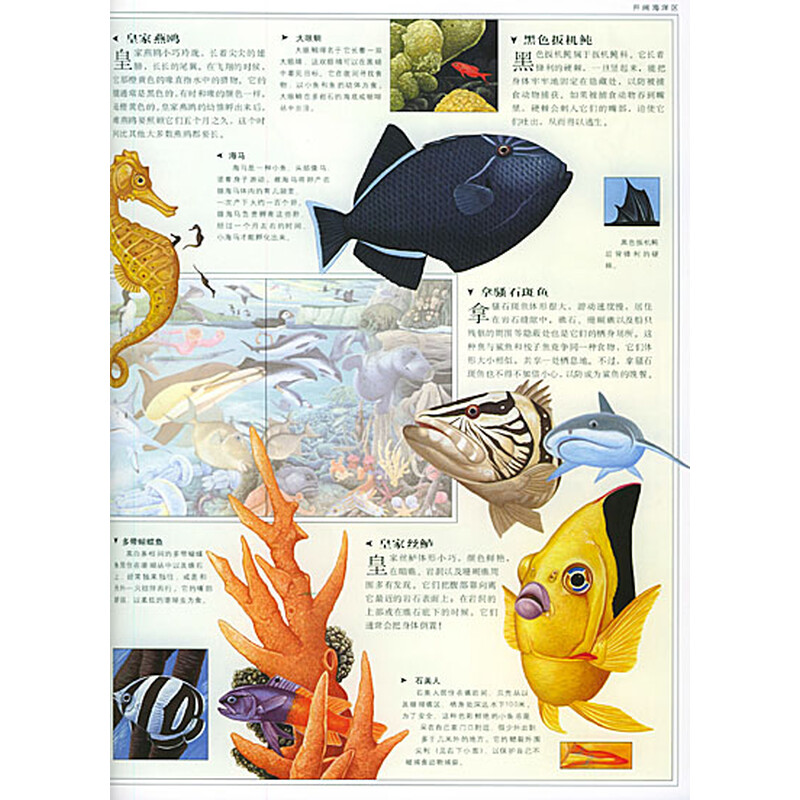 科学图书报价查询 我要发布商品  内容简介   探索海洋动物世界的奥秘