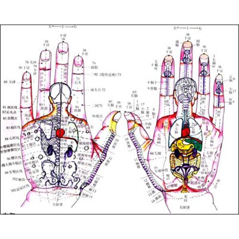 王大有全息手诊手疗挂图(二(中英文对照版)