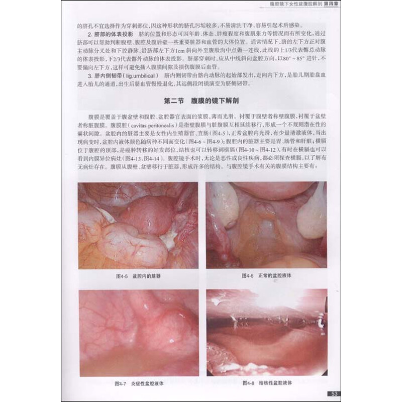 《妇科腹腔镜手术并发症防治》(李光仪)【摘要