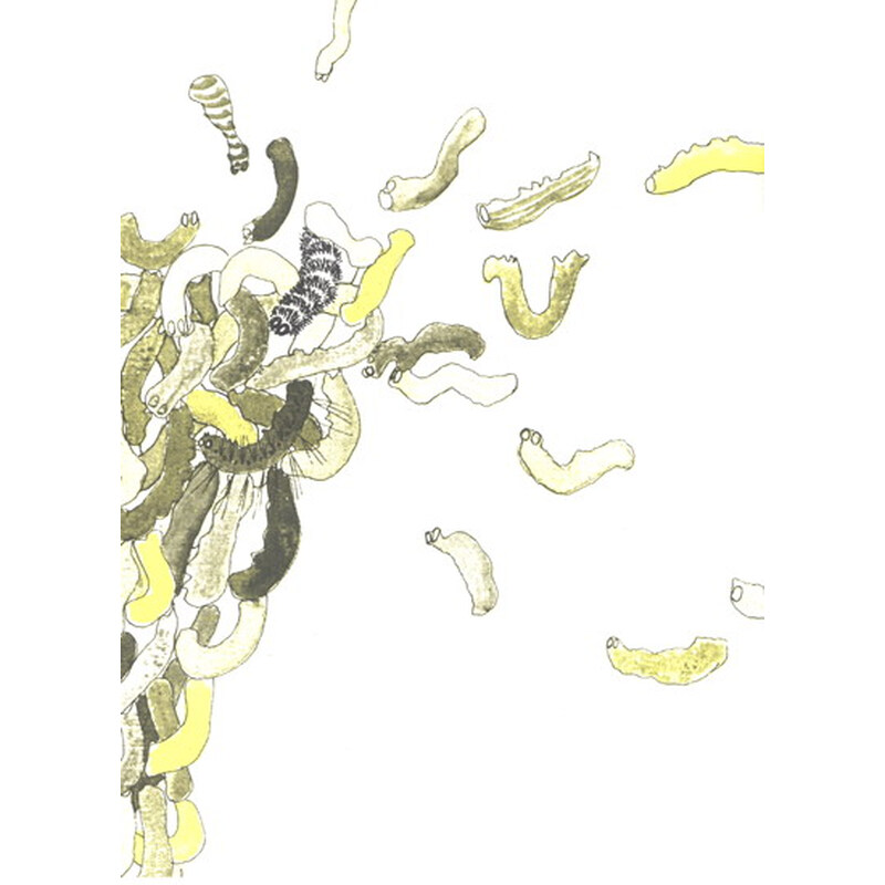 《花盼》((英国)翠娜·鲍路斯)