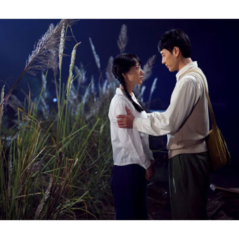 电视剧 爱情/婚姻 山楂树之恋(12dvd)