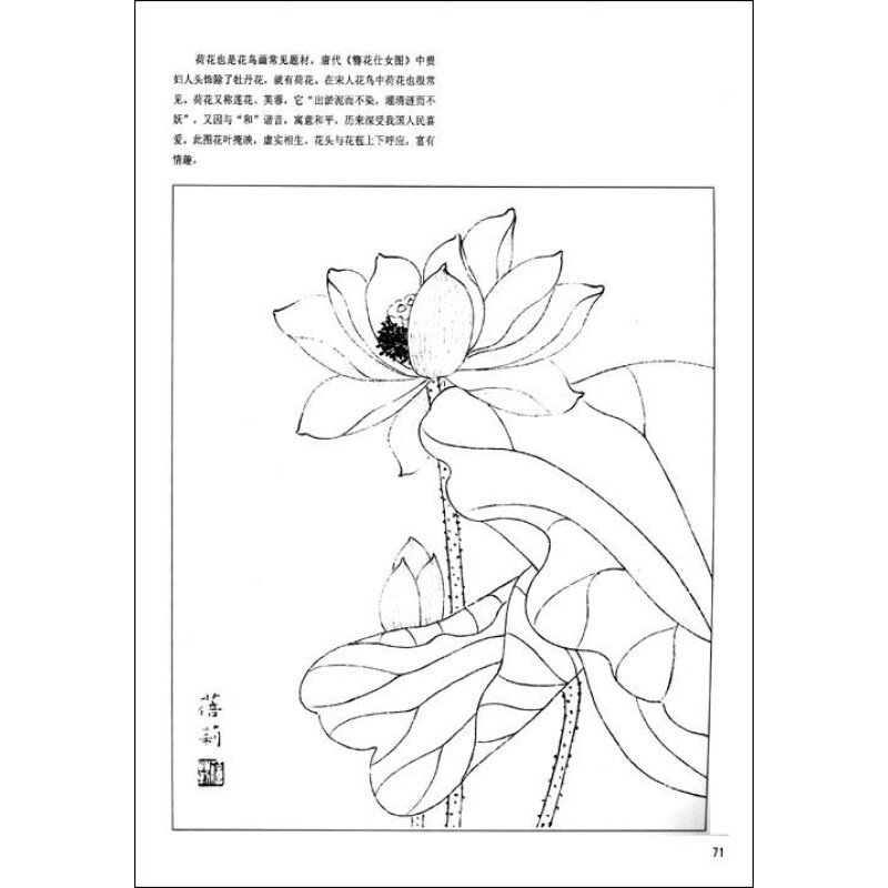 (京东商城) 中国画白描基础报价