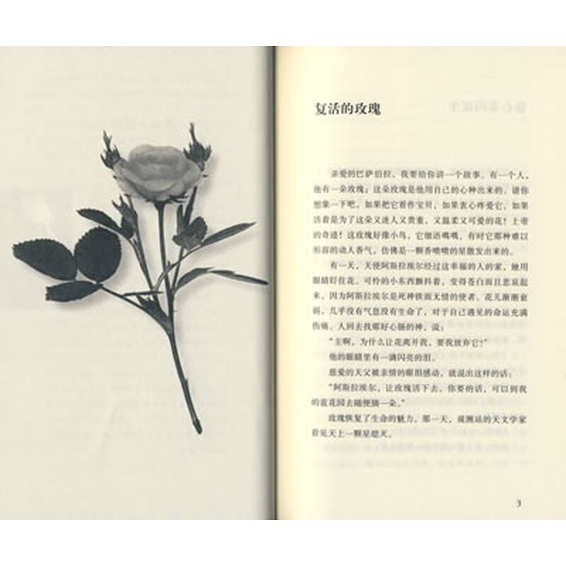 猫扑大杂烩内涵图 搞笑图片