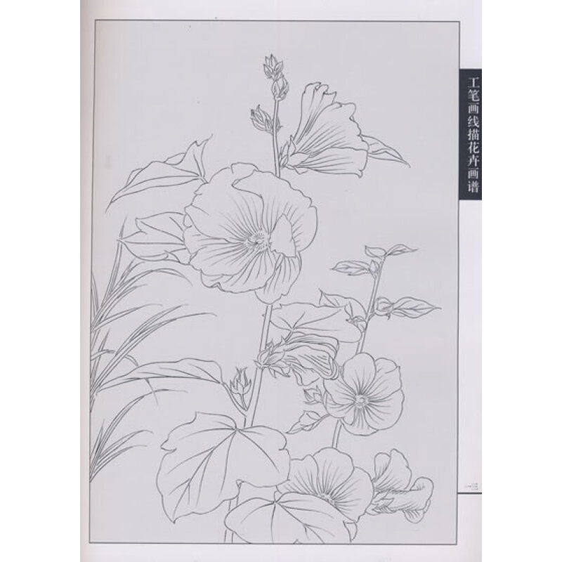 工笔画线描花卉画谱:蜀葵篇
