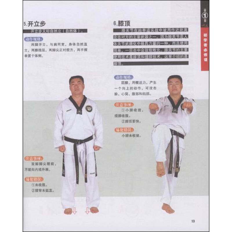 跆拳道:晋级标准教程 附dvd光盘