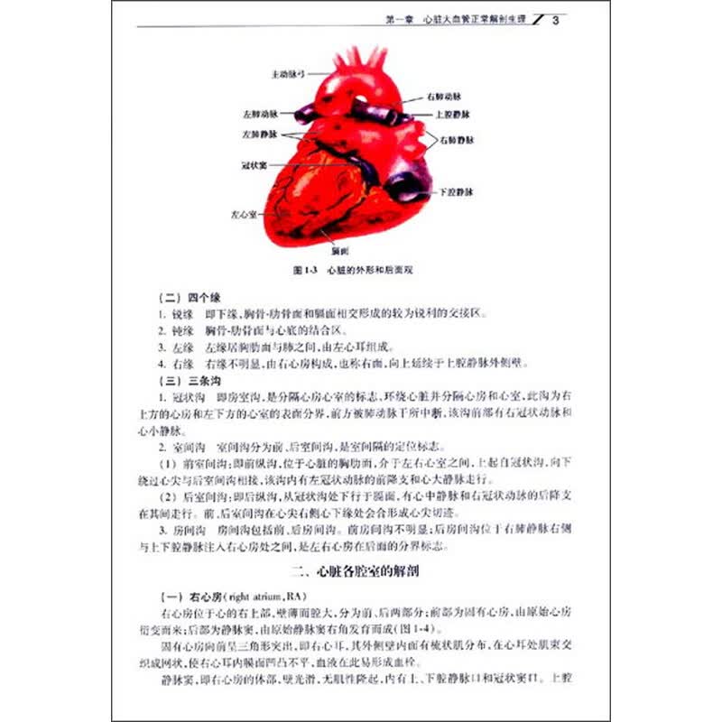 医学 内科学 人民卫生出版社 临床心脏超声影像学