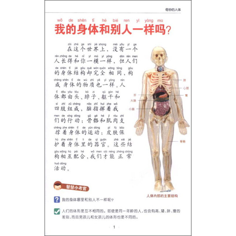 (京东商城 中国孩子最想知道的十万个为什么:奇妙的人体(彩图注音版)