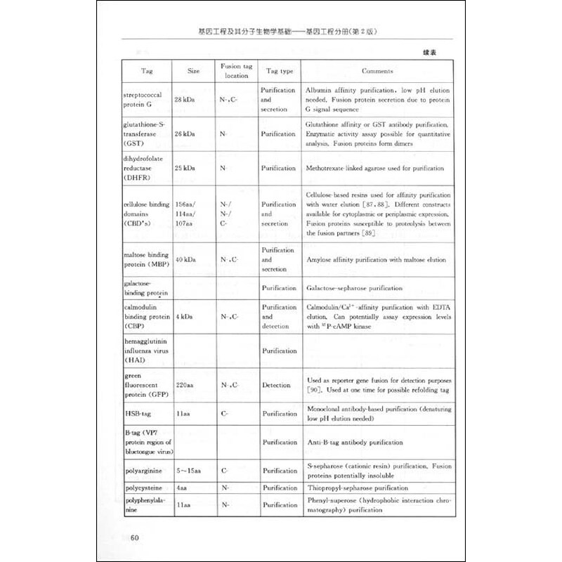《高等院校生命科学专业基础课教材:基因工程