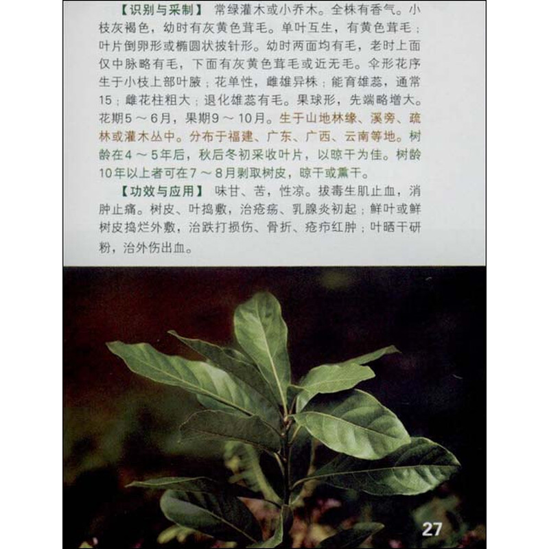 《400种中草药野外识别图鉴》(易蔚,黄克南易
