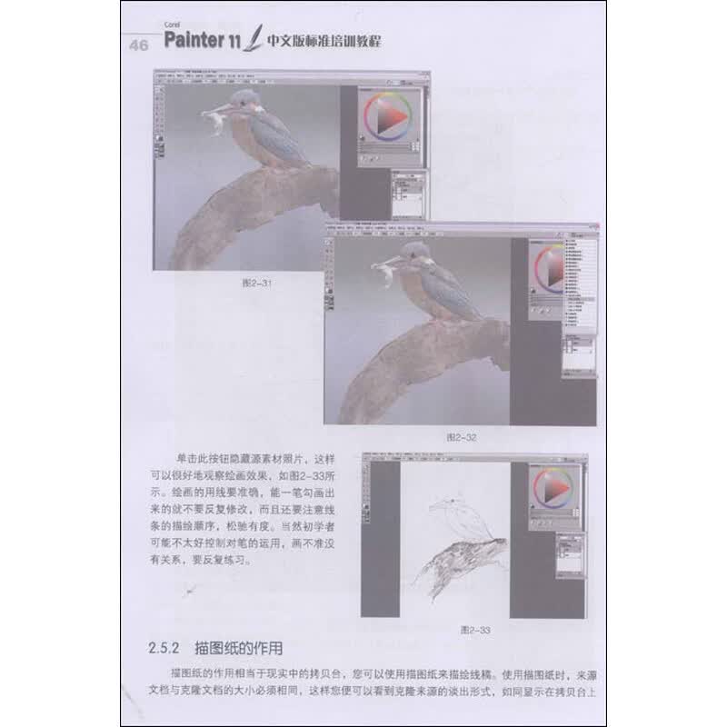 painter 11中文版标准培训教程_3ds max 2013中文版标准培训教程_亚伟中文速录机培训教程（修订版）