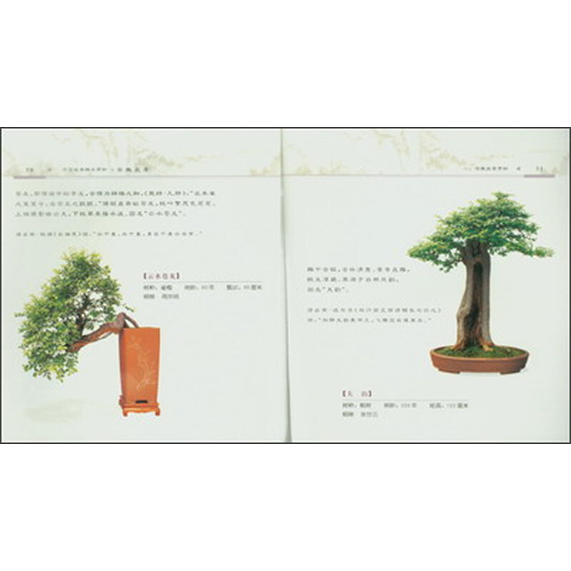 安徽盆景》【摘要 书评