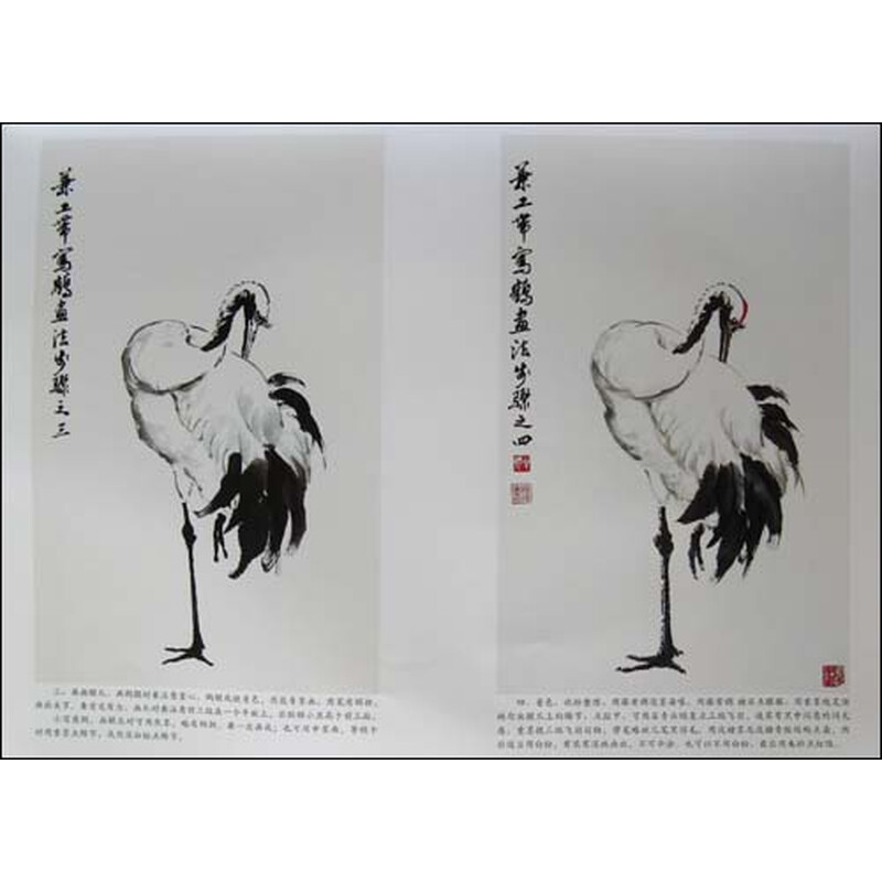 美术教学示范作品:鹤的画法