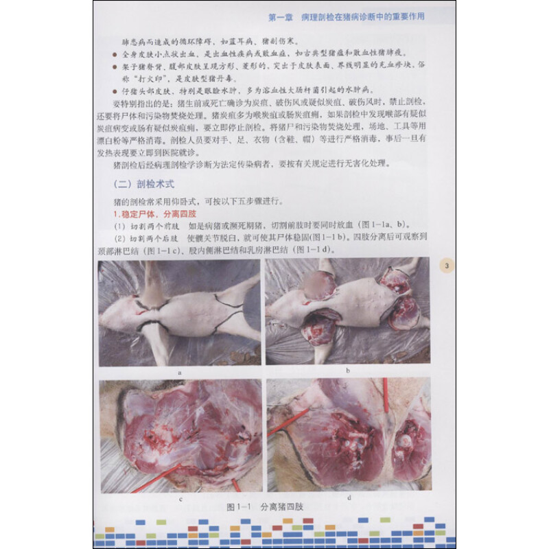 猪口蹄疫病理变化 猪口蹄疫发病原因