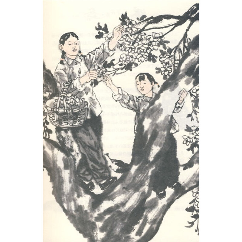 《栀子花香(曹文芳【摘要 书评 试读 京东图书
