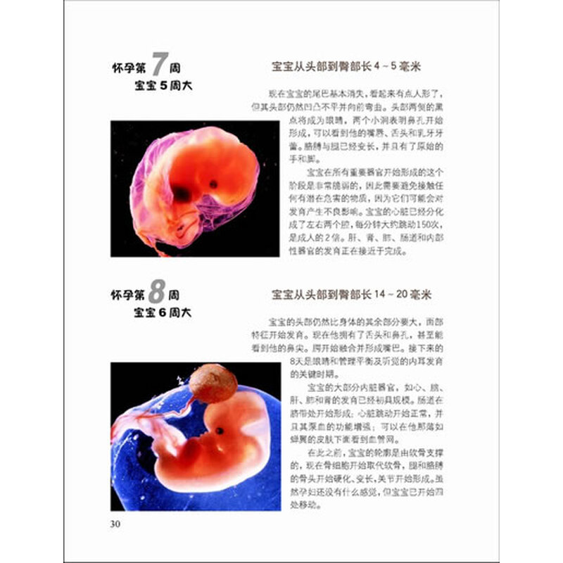 《怀孕圣经(第3版)》((英)安妮·迪安)