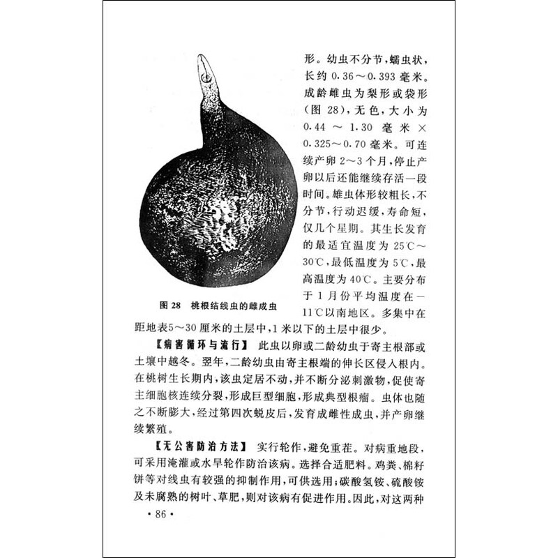 《桃树病虫害防治》(李知行,杨有乾)