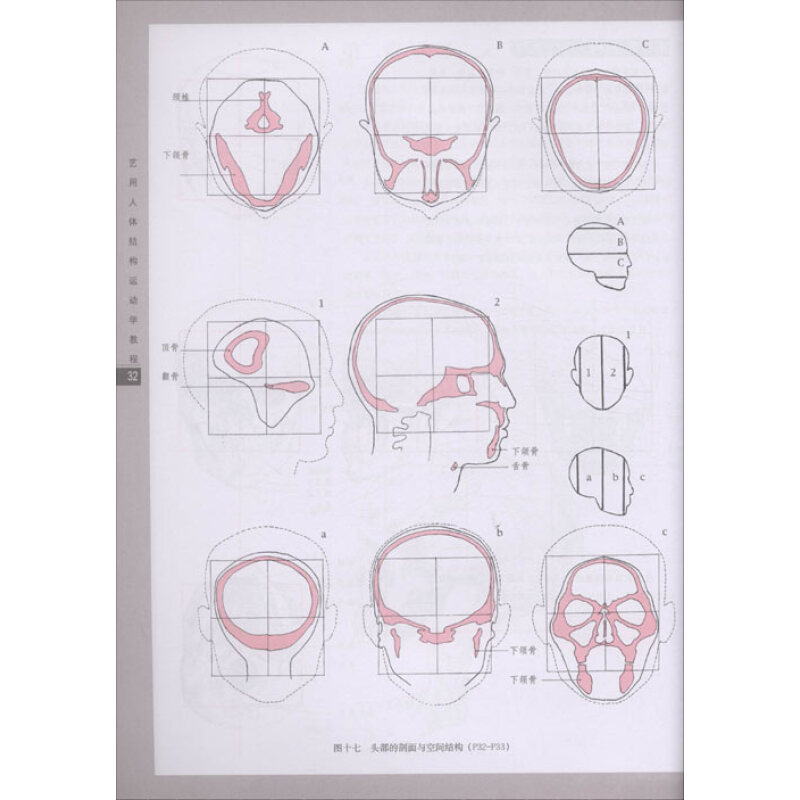 艺用人体结构运动学教程