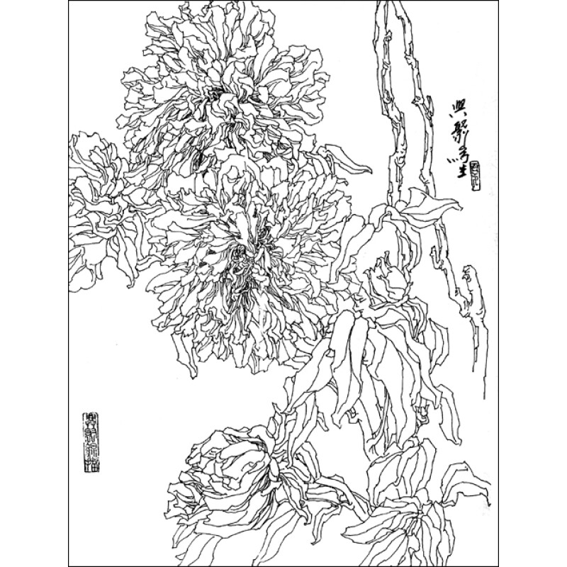 白描花卉:牡丹(2)夏兴聚9787102046839人民美术