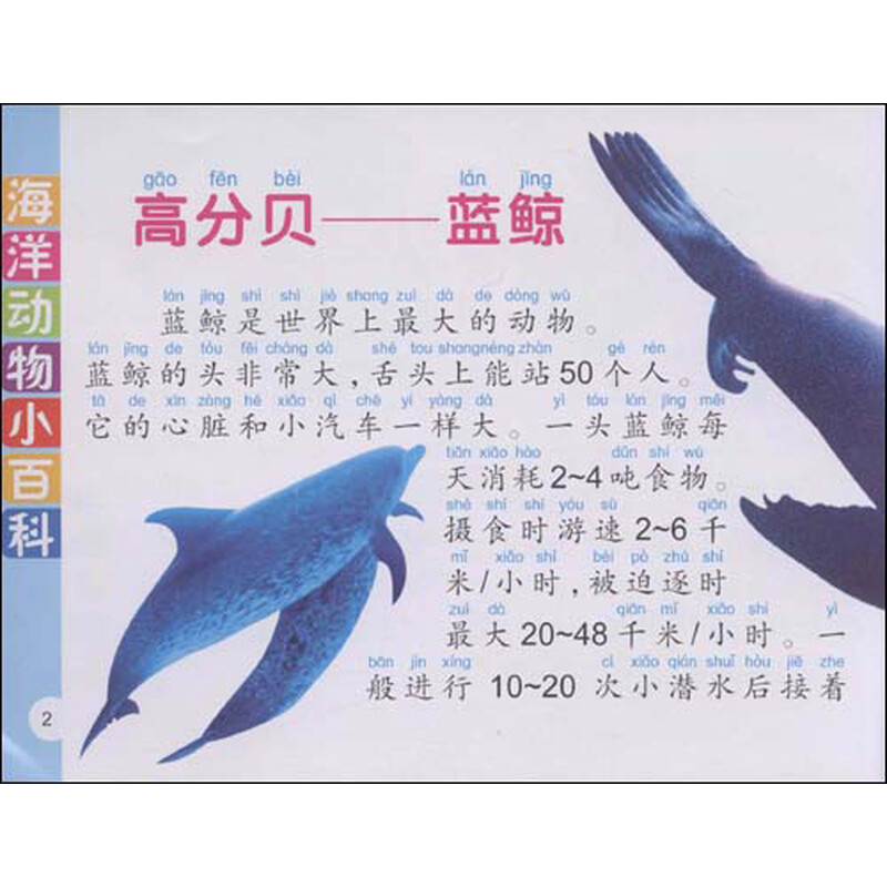 《少儿动物小百科:海洋动物小百科(精华本)(注音版)》(刘志勇)【摘要 书评 试读】- 京东图书