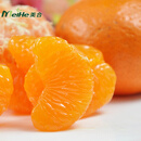 现货 正宗临海涌泉蜜桔 5斤 包邮 宫川蜜桔 黄岩