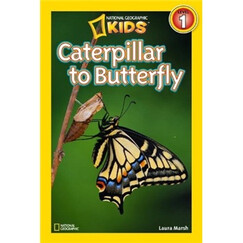 National Geographic Readers: Caterpillar to Butterfly美国《国家地理》杂志-儿童科普分级阅读,第1级:从毛毛虫到蝴蝶 英文原版
