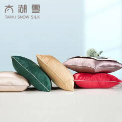 太湖雪 床品家纺 真丝靠枕靠垫 100%桑蚕丝绸面料 单个装 颜色随机 45*45cm