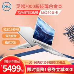 戴尔(DELL)灵越7000设计师合金轻薄本7391 13.3英寸英十代酷睿商务办公便携笔记本电脑 i5-10210U MX250 流光银 8GB内存 128GB固态硬盘 定制
