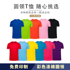 珍齐 毕业班服定制t恤印logo同学聚会周年纪念团队工作衣服广告文化衫 涤棉彩色下单备注颜色 L