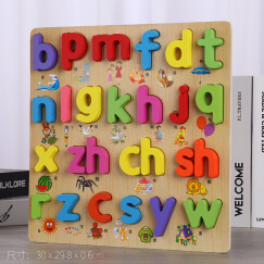 三格田（SANGTY）幼婴儿童数字拼图拼音字母认知配对积木制手抓板早教智力玩具 声母版（HY图文版）