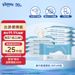 舒洁（Kleenex）羊驼湿厕纸便携装10片*10包  洁厕湿纸巾私处 擦去99.9%细菌