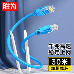 胜为（shengwei）六类千兆网线 cat6类阻燃纯铜 电脑宽带路由器成品网络跳线 蓝色30米 LC-6300C