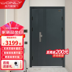 王力WL旗下能诚甲级安全智能防盗门进户门智能门锁入户门NC9601