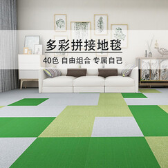 魔毯王国 地毯卧室满铺方块拼块拼接地毯客厅家用地毯商用办公室地毯 环保PVC底 魔方100系列 魔方100-25草绿色(单色) 1片(50* 50cm) 0.25平米