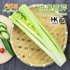 东升供港西芹600g 白芹 洋芹菜 炒菜榨汁 广州蔬菜新鲜配送
