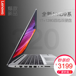 联想IdeaPad320 新一代高性能手提办公笔记本电脑超薄本游戏轻薄本商用本330C-15升级 升级A10-9620/4G/1T+128G固态 2G独显 银色 W10 15.6英寸