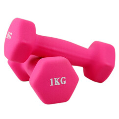 诚悦运动健身器材磨砂浸塑哑铃2公斤 CY-098粉色 （二只装 单只1公斤）