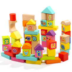 特宝儿（topbright）60粒益智儿童玩具积木木制实木质宝宝积木玩具