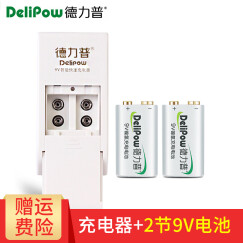 德力普（Delipow）充电电池  9V锂电池6F22大容量550毫安充电套装万用表话筒麦克风电池 2槽充电器+2节180毫安9V金帽电池