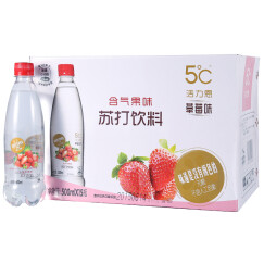 5°C（HORIEN5°C）活力恩 草莓味 含气果味苏打饮料 500ml*15瓶 整箱装
