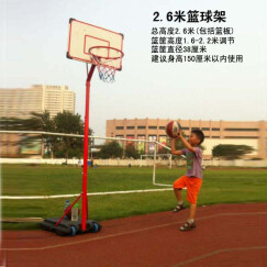 双航 篮球架 青少年儿童室内家用球架 户外可升降可移动成人标准篮球架 2.6米款(高度1.6-2.2米调节)直径38厘米