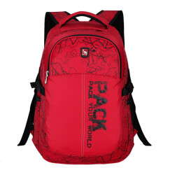 爱华仕（OIWAS）商务休闲背包 大容量户外旅行双肩背包 男女运动包4040红色