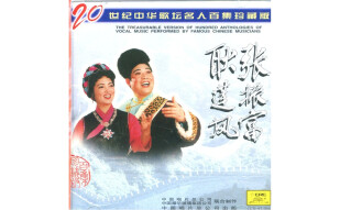 张振富耿莲凤：二十世纪中华歌坛名人百集珍藏版（CD）