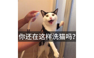 华元宠具（hoopet）猫咪洗澡神器防抓咬猫猫专用固定多功能猫包剪指甲固定猫包洗猫袋 蓝色 脖围32cm内