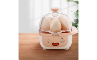 天际(TONZE)煮蛋器蒸蛋器  鸡蛋羹蒸鸡蛋器蒸蛋机蒸饺子蒸馒头 家用多功能 DZG-W405E （5个蛋量）