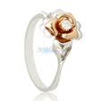 lux-women18K��0.061ct��ʯŮ�� ����12#(Ȩ��֤��)��Ʒ��Ҫ����������12��